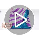 Microfiber Beach Towel Extra Large 71x32 inches 4 Pack Bulk