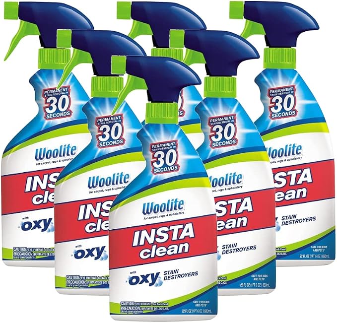 Woolite INSTAclean Oxy Carpet Cleaner 22 oz. Liquid