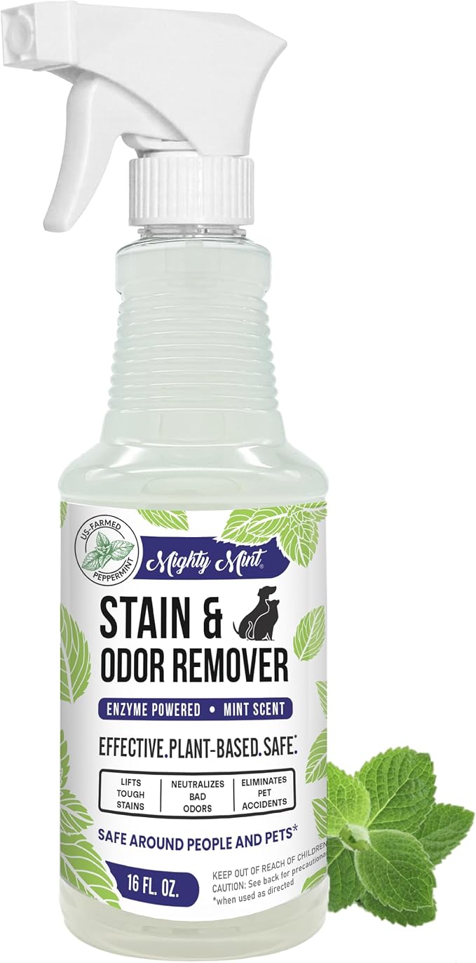 Mighty Mint Stain & Odor Remover, Natural Enzyme Spray Safely Neutralizes Odor and Stains from Dogs, Cats on Carpet, Fur