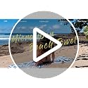 2 Pack Microfiber Beach Towel, Quick Dry Travel Towel Large Sand Free Towel for Beach, Camping, Swim Pool, Gym, Sports& Yoga 71"x32", Palm