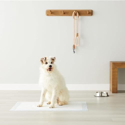 Super Absorbent Dog and Puppy Potty Pads, Leak-Proof 5-Layer Design with Quick-Dry Surface for Housebreaking, Heavy Duty Absorbency, X-Large, 28 x 34 Inch, Blue & White, 25-Pack