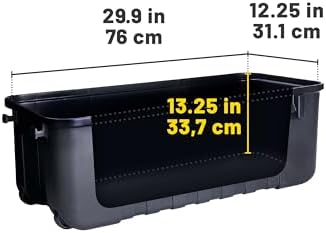 Storage Trunks