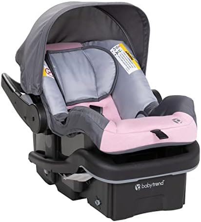 Passport Cargo Travel System, Pink Bamboo with Lil' Snooze Deluxe III Bassinet