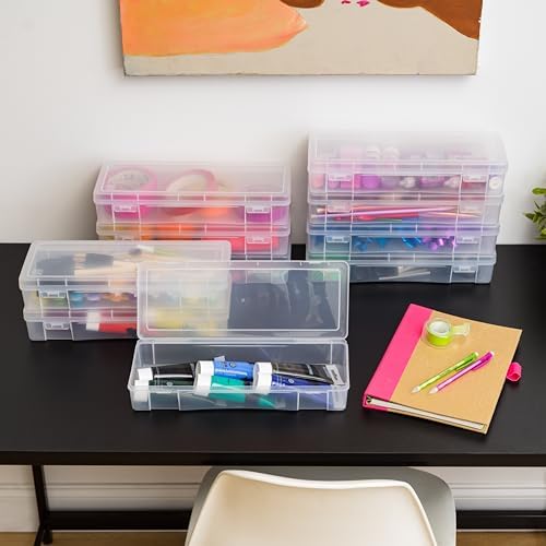 Clear Cases |Made in USA| Plastic Box Organizers (10-Pack)- Large