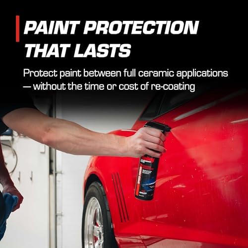 Speed Finish - Ceramic Detailing Spray - 16 oz.
