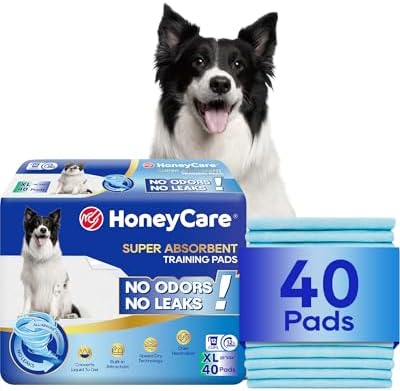 All-Absorb, X-Large 28" x 34", 40 Count, Dog and Puppy Training Pads, Ultra Absorbent and Odor Eliminating, Leak-Proof 5-Layer Potty Training Pads with Quick-Dry Surface, Blue