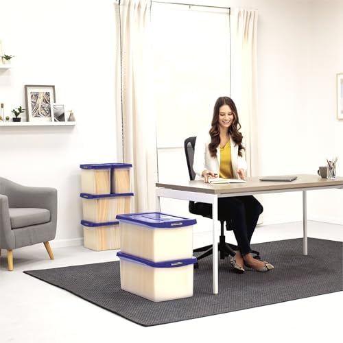 Heavy-Duty Plastic File Box, Letter/Legal