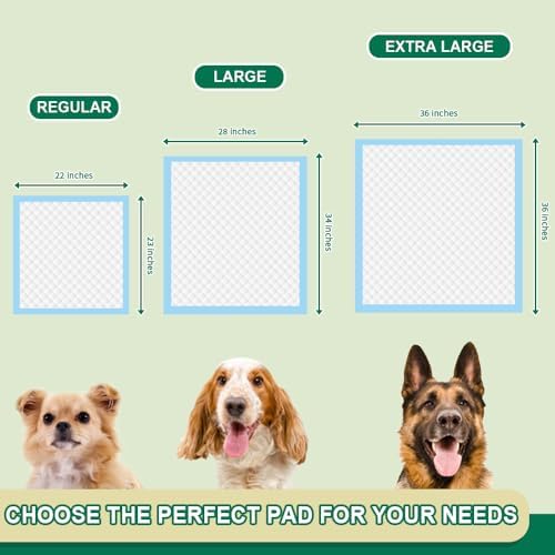 Puppy Pads 22"x23" 100 Count | 6-Layer Leak-Proof & Super Absorbent Dog Training Pads | Disposable Potty Pads for Puppies, Dogs, Cats & Rabbits | Blue & White