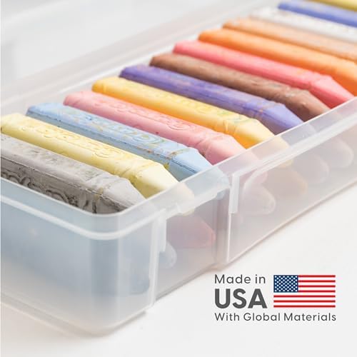 Clear Cases |Made in USA| Plastic Box Organizers (10-Pack)- Large
