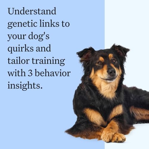 Panel Breed Discovery Dog DNA Test Kit 430+ Breeds, MDR1 Health Test