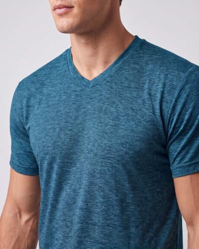 5 Pack Men's Dry Fit V Neck Workout T Shirts Athletic Gym Fitness Tees