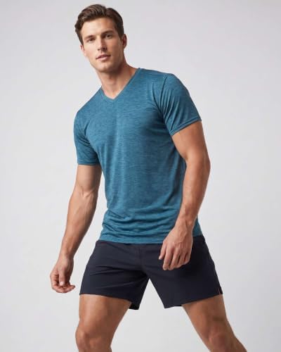 5 Pack Men's Dry Fit V Neck Workout T Shirts Athletic Gym Fitness Tees