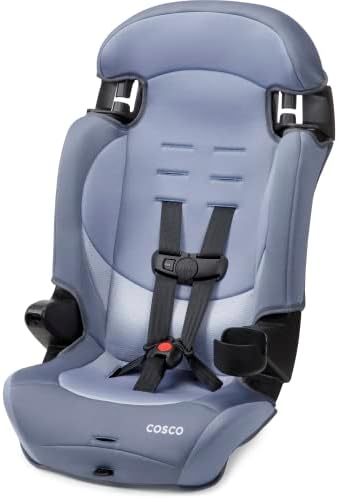 Kids Finale DX 2-in-1 Booster Car Seat, Forward Facing Toddler Car Seat (40-65 lbs) and Belt Positioning High Back Booster (40-100 lbs), Organic Waves