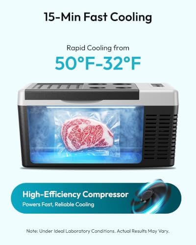 19QT 12 Volt Refrigerator, -4℉~68℉ Electric Cooler for Car