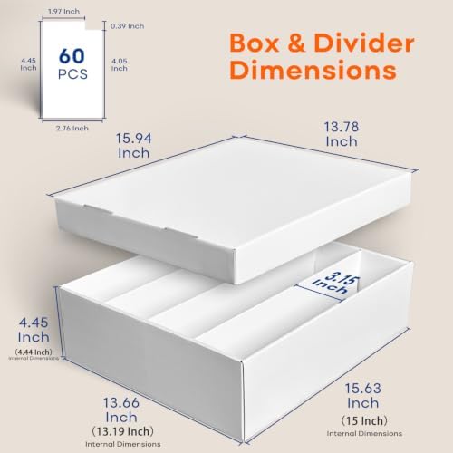 2-Pack Trading Card Storage Box, Card Box for TCG MTG Baseball Sports Cards