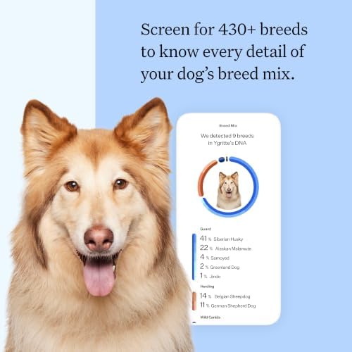 Panel Breed Discovery Dog DNA Test Kit 430+ Breeds, MDR1 Health Test
