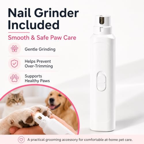 Dog Grooming Vacuum Kit, 1.2L, Dyson-Style Gray