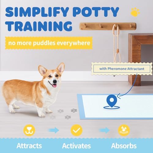 Puppy Pads for Dogs, 34 x 28 in, 6-Layer, Leak-Proof, 100-Pack