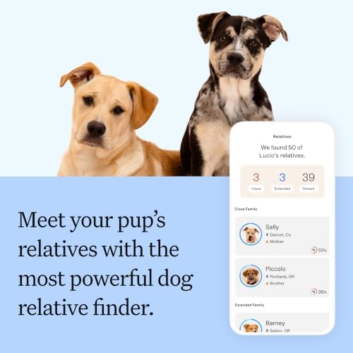 Panel Breed Discovery Dog DNA Test Kit 430+ Breeds, MDR1 Health Test