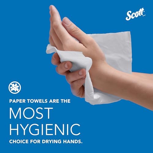 C-Fold Paper Hand Towels, Bulk, 12 x 200 Sheets (01510)