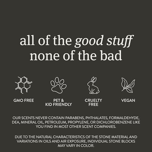 Car Air Freshener - The Original Stone Air Freshener - Car Odor Eliminator - Long Lasting Scent - Metal Clip - Essential Oils - Clean Ingredients - Cabana Scent Starter Kit