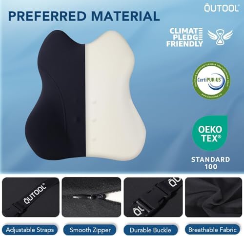 Patented Lumbar Support Pillow for Car, Truck Accessories Travel Essentials, Memory Foam Back Cushion for Driving Seat, Back Pain Relief,Washable Cover, Lower Back Support Fits Most Cars(Black)