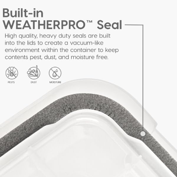 WeatherPro 63 Qt Storage Bins with Lids, 2 Pack, Clear/Black