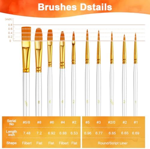 Paint Brushes Set, 24 Pack 240 Pcs Round-Pointed Tip Paintbrushes Nylon Hair Artist Acrylic Paint Brushes for Acrylic Oil Watercolor, Face Nail Art, Miniature Detailing & Rock Painting, White