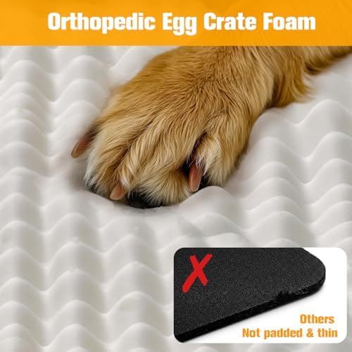 Convertible Backseat Extender for Dogs, Hard Bottom Dog Seat Cover