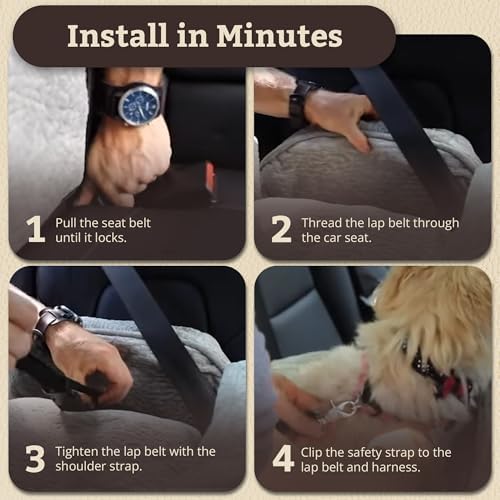 Lookout I Car Seat - Dog Car Seats for Small Dogs, Puppy Booster Bed for Small & Medium Sized Pets Up to 25 Lbs, Elevated, Washable - Medium, Black Quilted