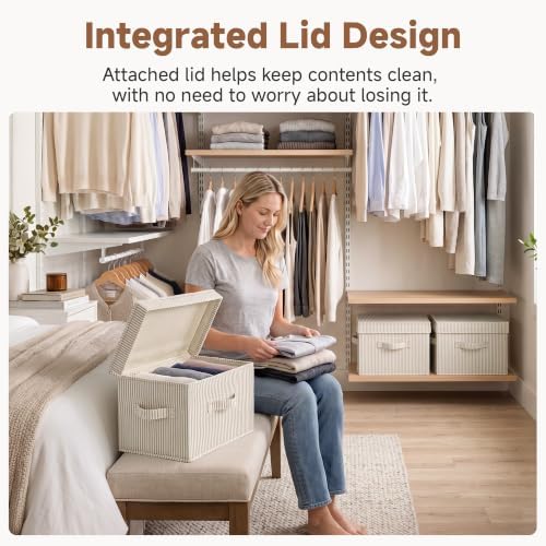 Fabric Storage Bins with Lids, Closet Storage Bins