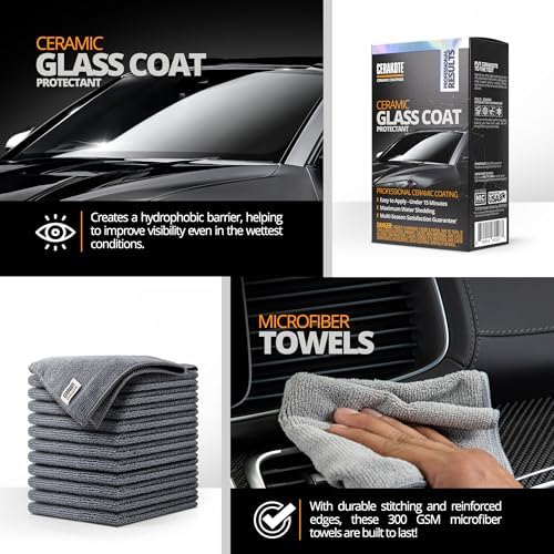Car Wash and Detailing Kit, All In, 11 Piece