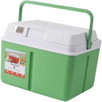 Cooler Box Ice Box 6L Personal with Handle for Freeze/Hot Food Ice Chest Small Insulated Box for Beach Camping Stall Out