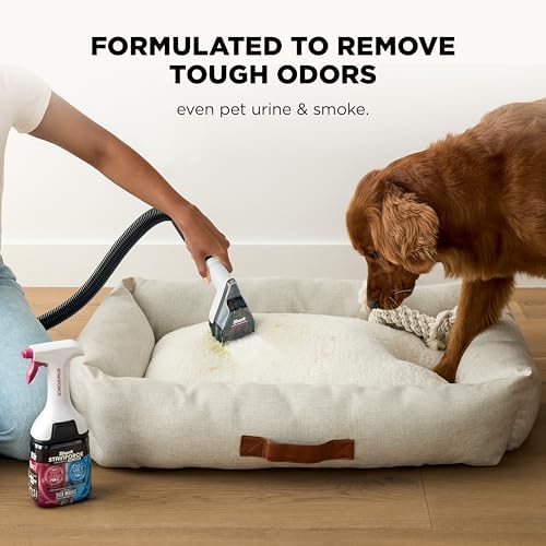 Shark EveryMess 3-in-1 Wet/Dry Vac & Stain Eliminator, 4 Tools VX101