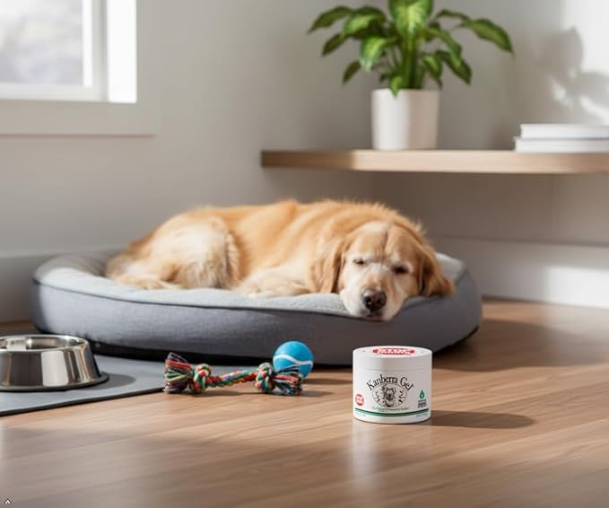 Kanberra Gel 4oz - All-Natural Odor Eliminator & Air Freshener for Home, Car, RV, Boat, Gym Bag | Eco-Friendly, Long-Lasting Tea Tree Oil Formula, Safe for Pets and Family.