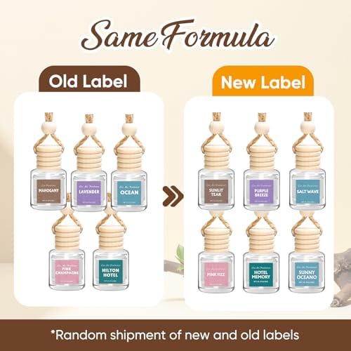 Car Air Freshener,18 Pack Long Lasting Hanging Air Freshener Diffuser