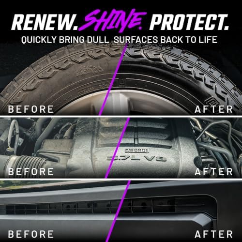 Shine & Protectant High Gloss Coating Spray (2-Pack)
