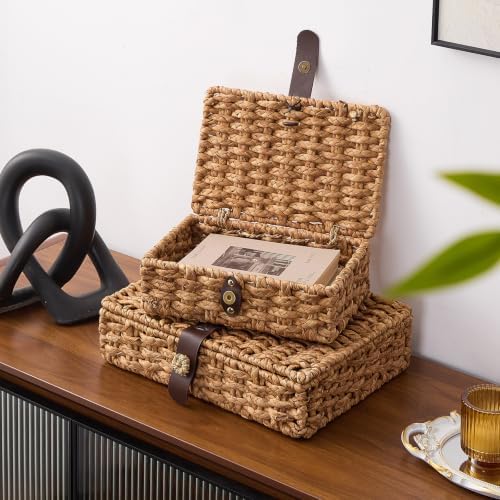 Decorative Box with Lid, Wicker Storage Basket, Water Hyacinth Woven Decorative box for Shelf, Coffee Table, Console Table, Home Decor (Large)