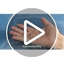 50PACK 3 Gallon Large Zipper Bags for Storage 16" x 18" Storage Bags