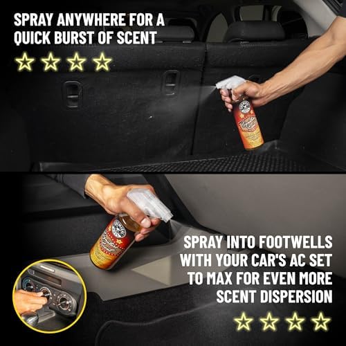 AIR_069_1602 Signature Scent Premium Air Freshener and Odor Eliminator, Long-Lasting Scent, Great for Cars, Trucks, SUVs, RVs & More, 16 oz (2 Pack)