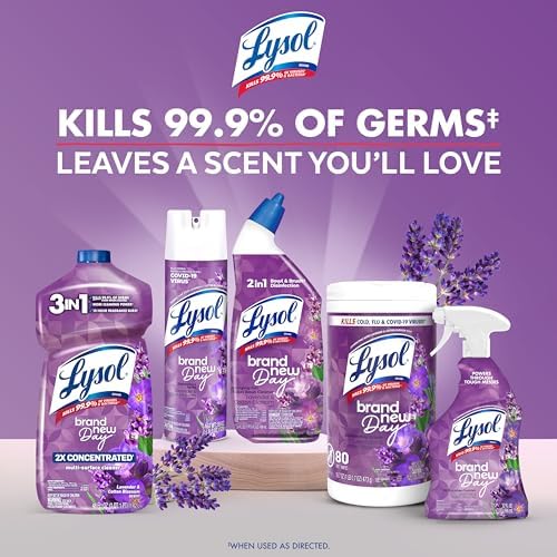 Disinfecting Wipes, Multi-Surface, Lavender + Mango, 80 ct. (4 Pack)