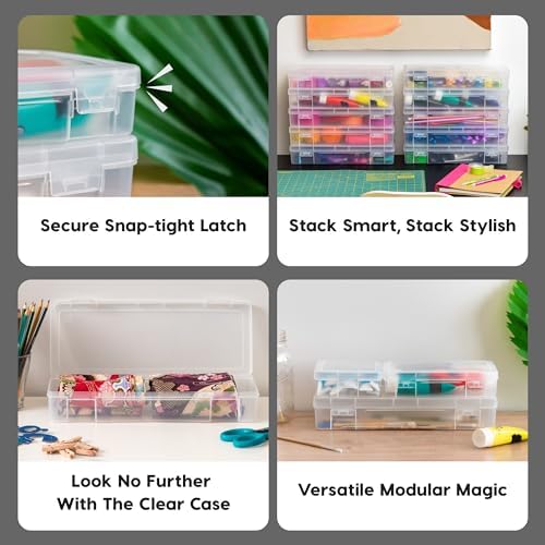 Clear Cases |Made in USA| Plastic Box Organizers (10-Pack)- Large
