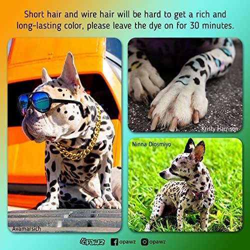 Permanent Dog Hair Dye, Pet Hair Dye Safely Used by Grooming Salons for a Decade, Pet Safe Dye Lasts Over 20 Washes, Bright Color for Dogs and Horses (Super Black)