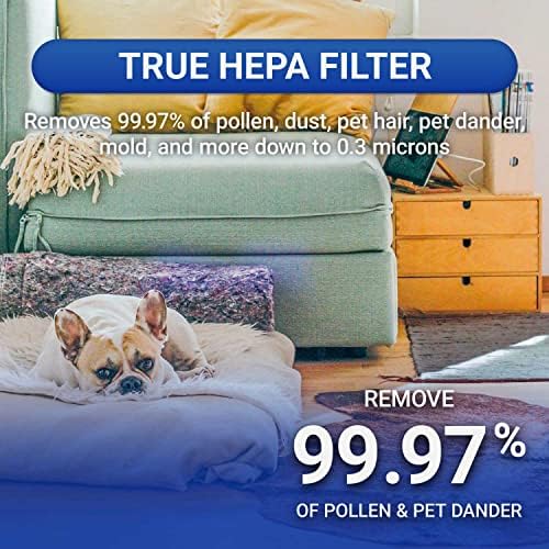 Advanced PureAir Air Shield Air Purifier