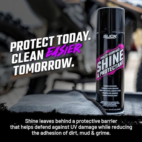 Shine & Protectant High Gloss Coating Spray (3-Pack)