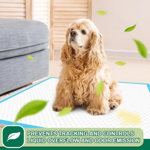Puppy Pads 22"x23" 100 Count | 6-Layer Leak-Proof & Super Absorbent Dog Training Pads | Disposable Potty Pads for Puppies, Dogs, Cats & Rabbits | Blue & White