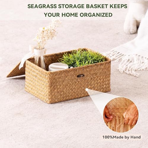 Wicker Storage Basket with Lid,Seagrass Shelf Basket Set of 3,Natural