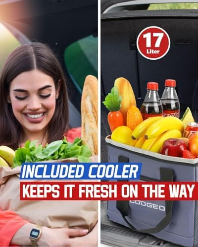 Car Trunk Organizer with Portable Leak Proof Cooler Bag