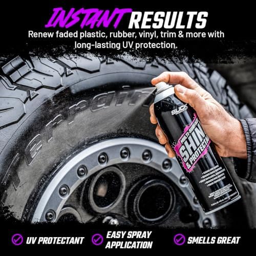 Shine & Protectant High Gloss Coating Spray (2-Pack)