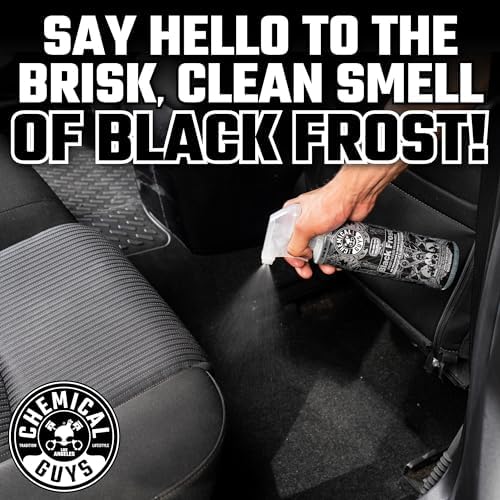 AIR_302 Black Frost Scent and Signature Scent Combo Pack, Great for Cars, Trucks, SUVs, RVs, Home, Office & More (2-16 Fl Oz Items)